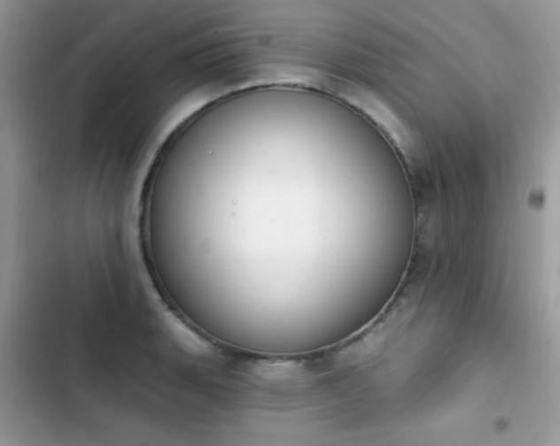 X0000103951135200809191434