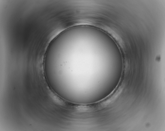 X0000103951137200809191434