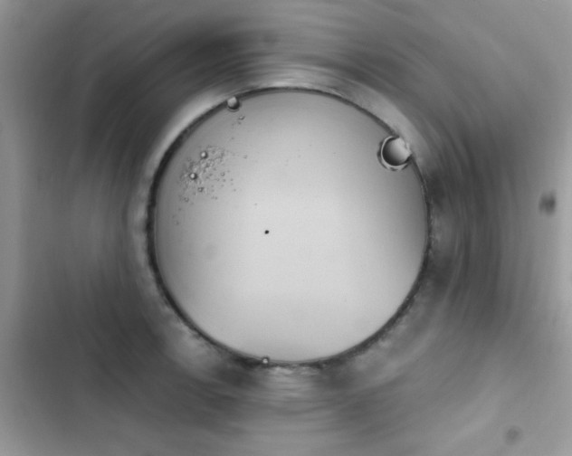 X0000103951138200809191434