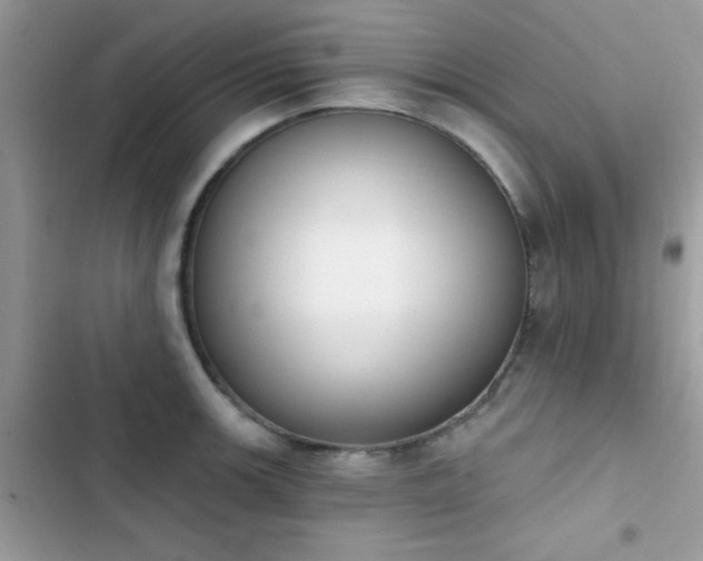 X0000103951139200809191434