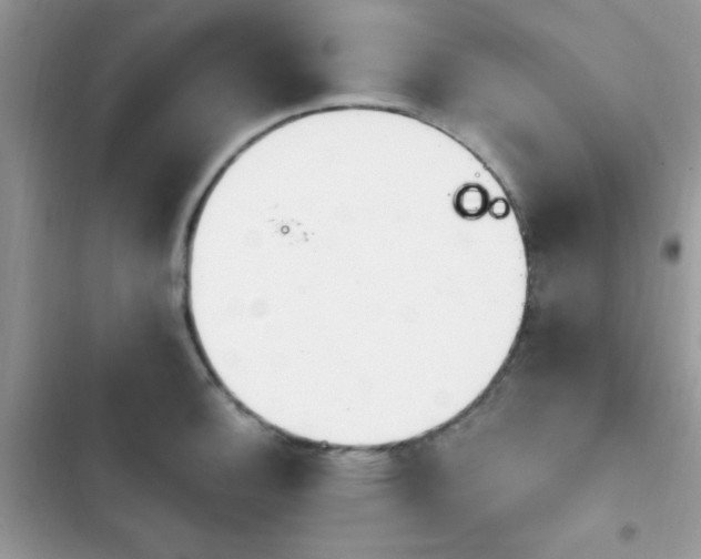 X0000103951140200809191435