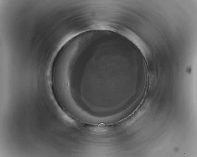 X0000103951141200809191435