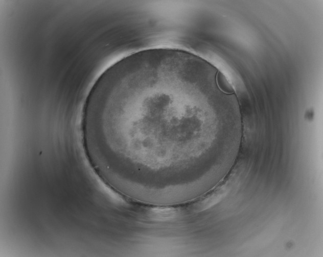 X0000103951142200809191435