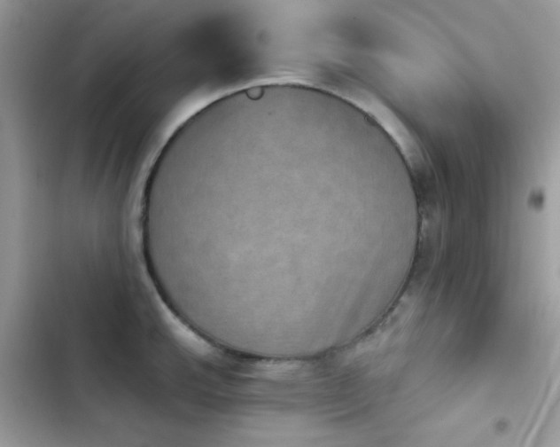 X0000103951143200809191435