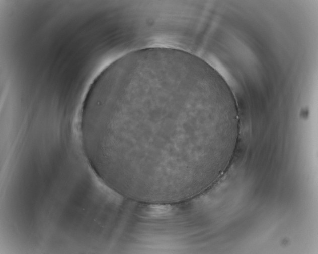 X0000103951144200809191435