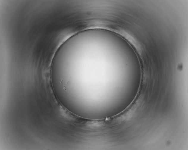 X0000103951145200809191435