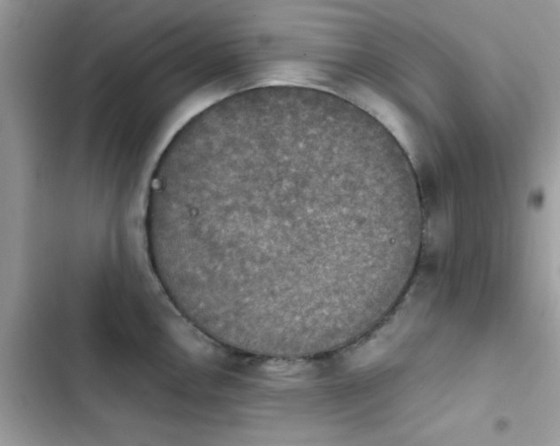 X0000103951146200809191435
