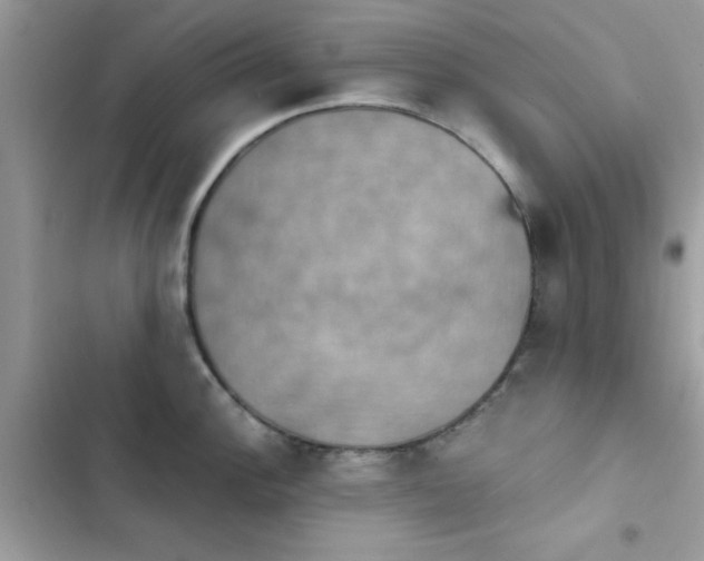 X0000103951148200809191435