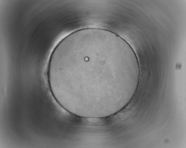 X0000103951152200809191435