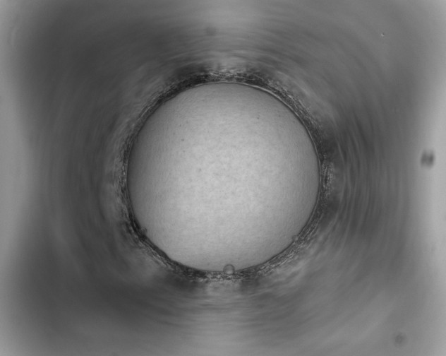 X0000103951153200809191434