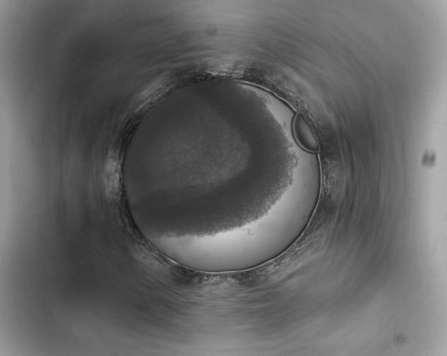 X0000103951154200809191434