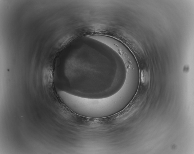 X0000103951155200809191434