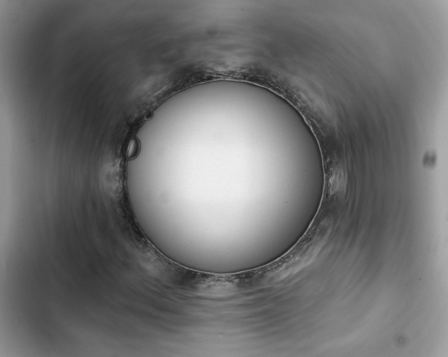 X0000103951156200809191434