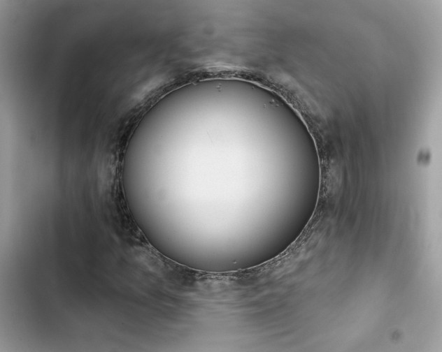 X0000103951157200809191434