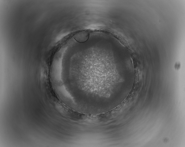 X0000103951158200809191434