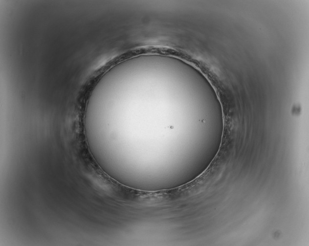 X0000103951159200809191434