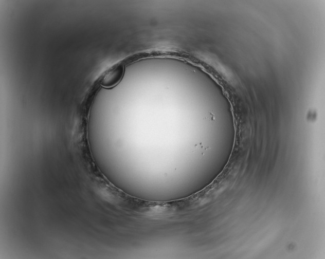 X0000103951160200809191434