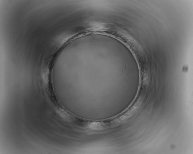 X0000103951161200809191434