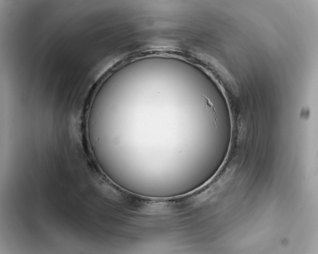 X0000103951162200809191434