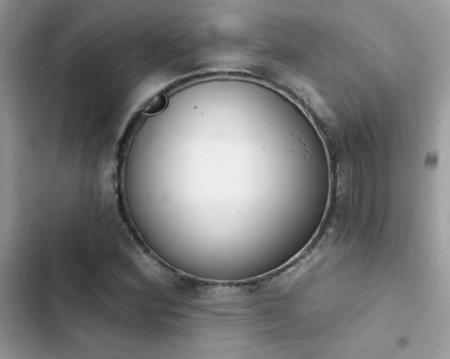 X0000103951164200809191434
