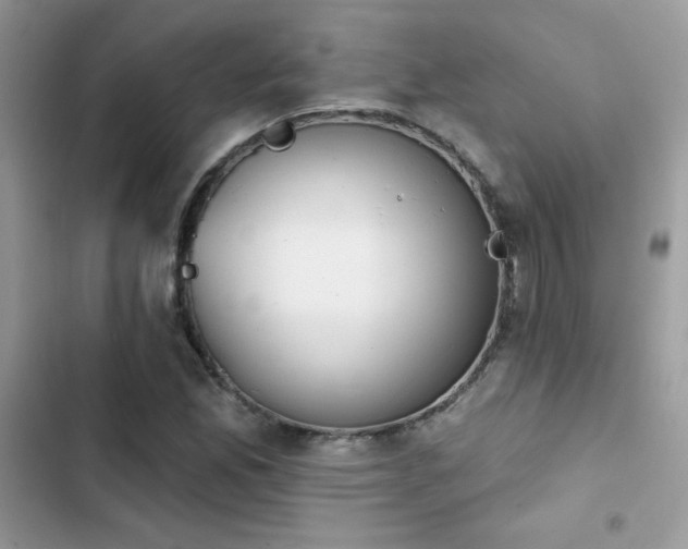 X0000103951165200809191434