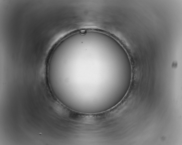 X0000103951167200809191434