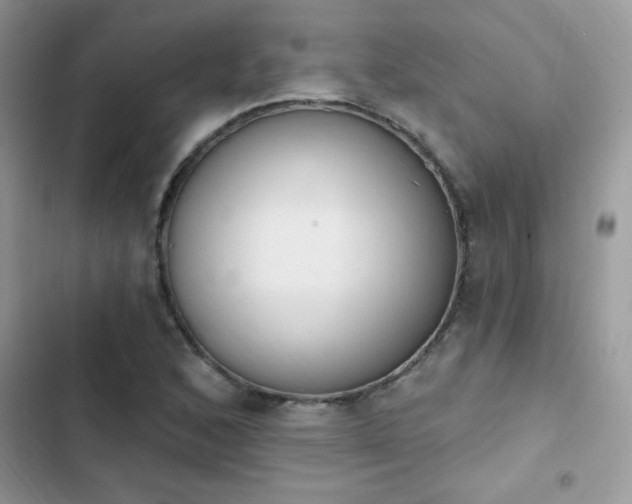 X0000103951168200809191434