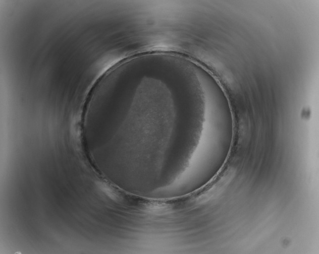 X0000103951170200809191434