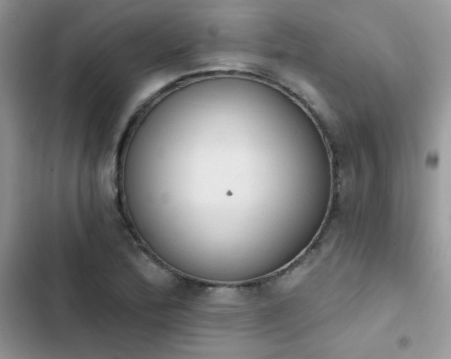X0000103951172200809191434