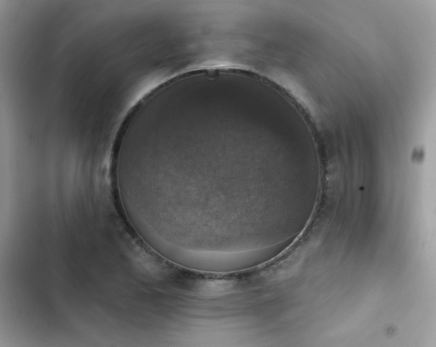 X0000103951173200809191434