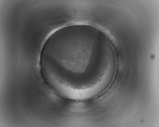 X0000103951174200809191434