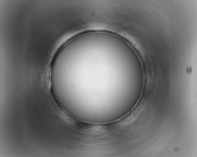 X0000103951175200809191434
