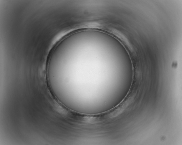 X0000103951176200809191434
