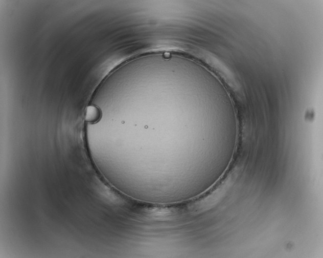 X0000103951177200809191434