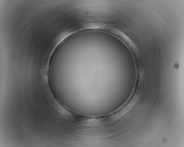 X0000103951178200809191434
