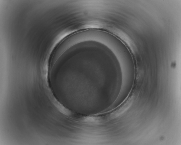 X0000103951179200809191434