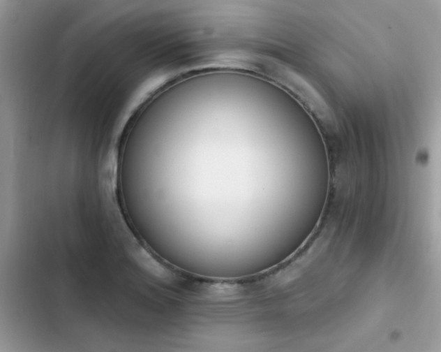X0000103951180200809191434
