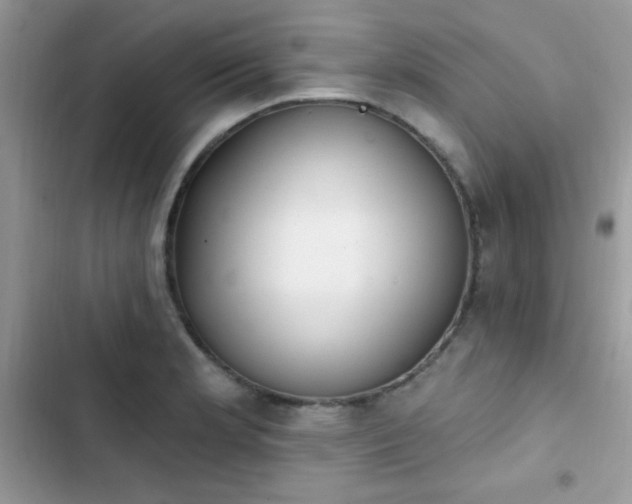 X0000103951181200809191434