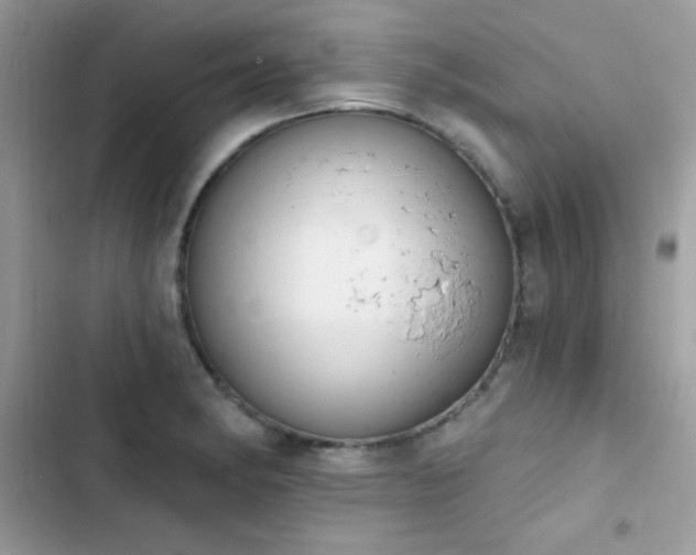 X0000103951182200809191434