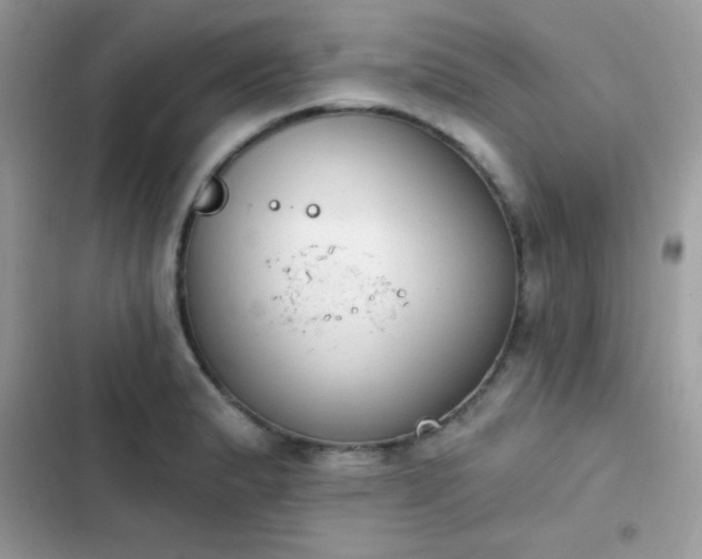 X0000103951183200809191434