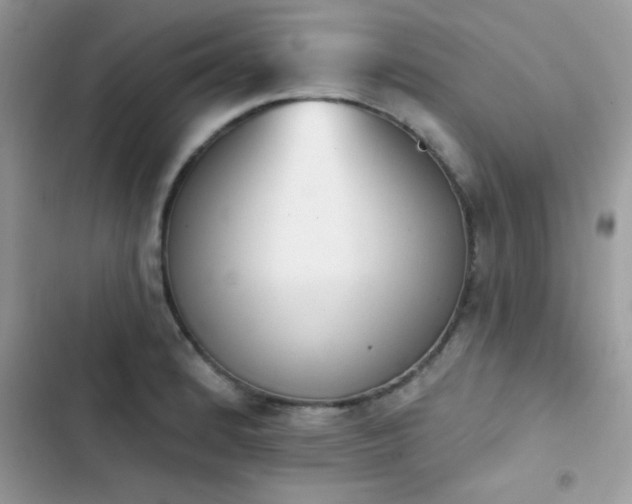 X0000103951184200809191434