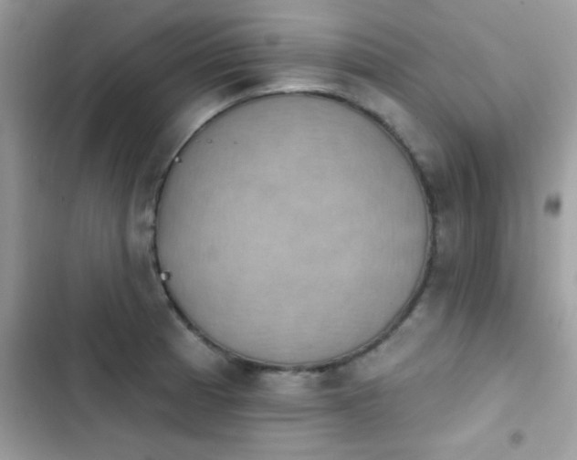 X0000103951185200809191434
