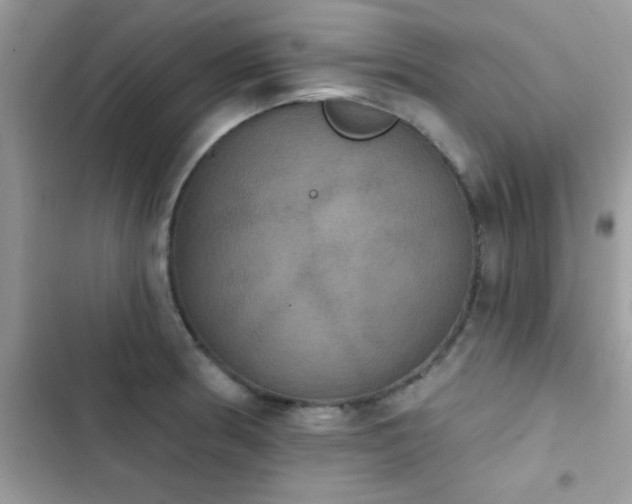 X0000103951186200809191434