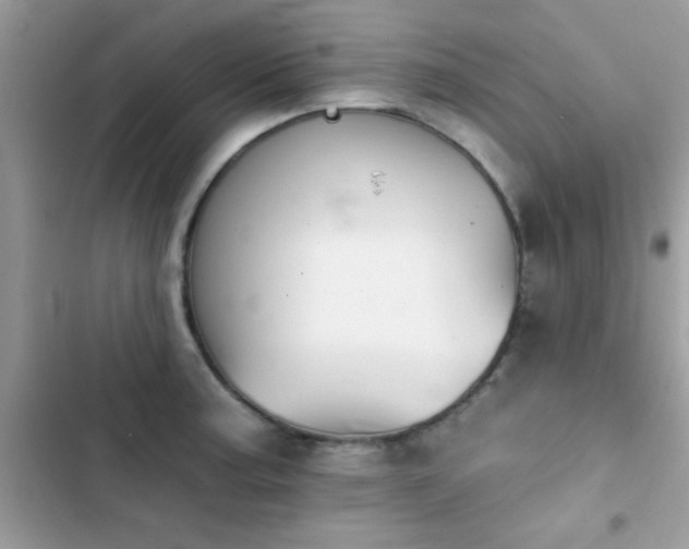 X0000103951187200809191434