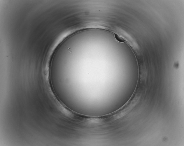 X0000103951188200809191434