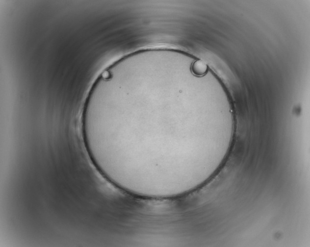 X0000103951189200809191434