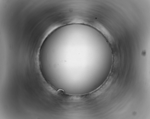 X0000103951190200809191434
