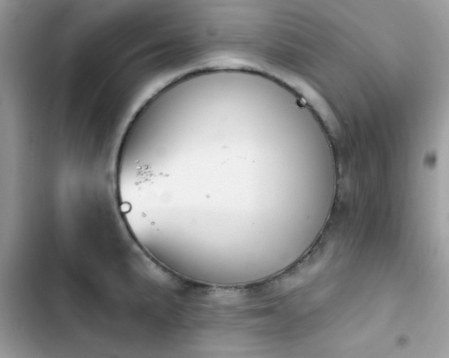 X0000103951191200809191433