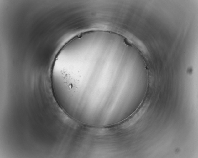 X0000103951192200809191433