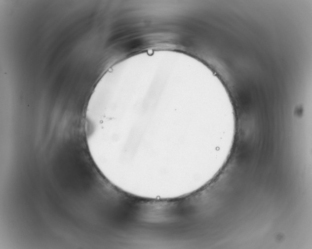 X0000103951193200809191433